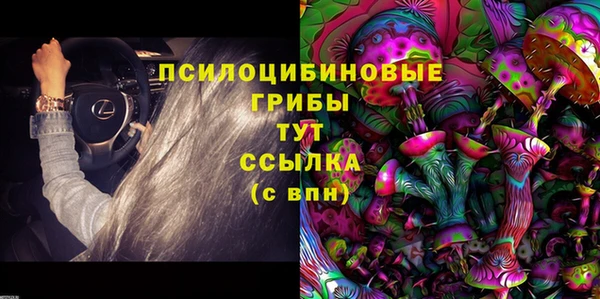 гашик Абаза