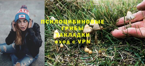 гашик Абаза